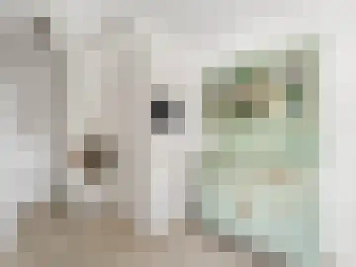 Singel 11 Vreeland thumbnail 11