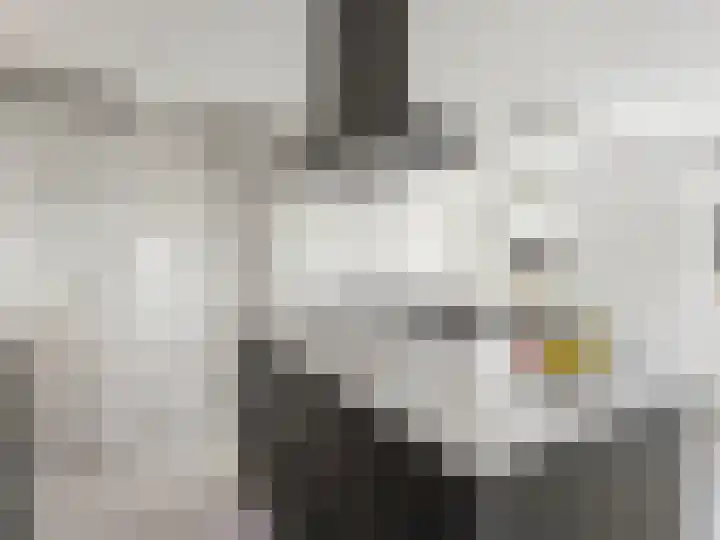 Singel 11 Vreeland thumbnail 12