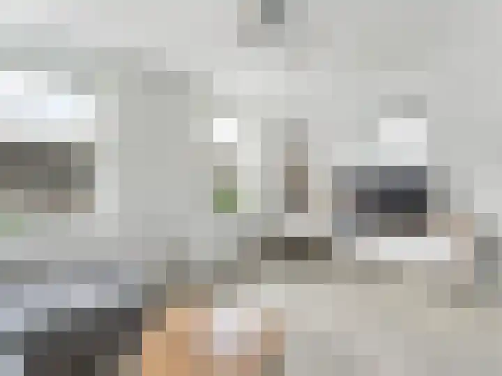 Singel 11 Vreeland thumbnail 19