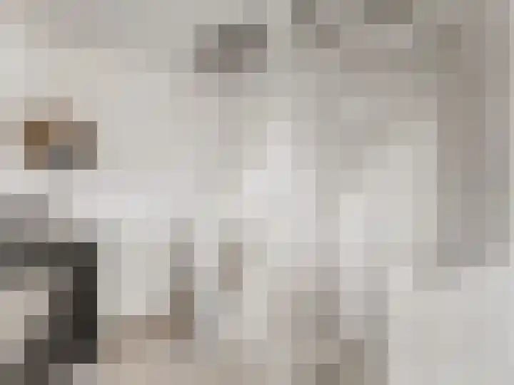 Singel 11 Vreeland thumbnail 20