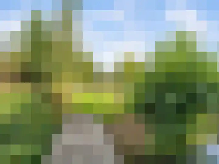 Singel 11 Vreeland thumbnail 29