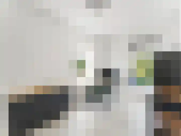 Singel 11 Vreeland thumbnail 8