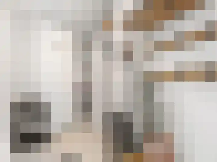 Singel 11 Vreeland thumbnail 9