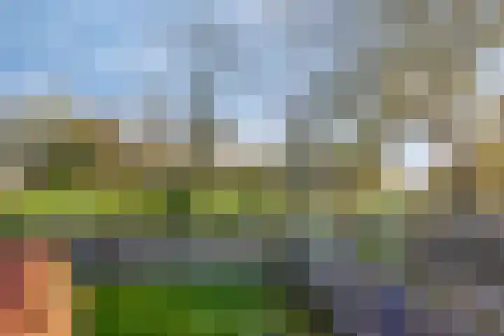 Singel 11 Westdorpe thumbnail 21