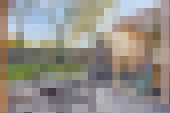 Singel 11 Westdorpe thumbnail 22