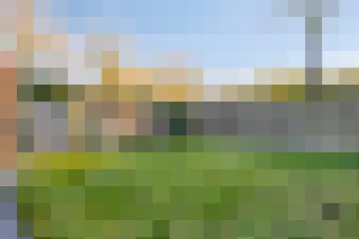 Singel 11 Westdorpe thumbnail 24