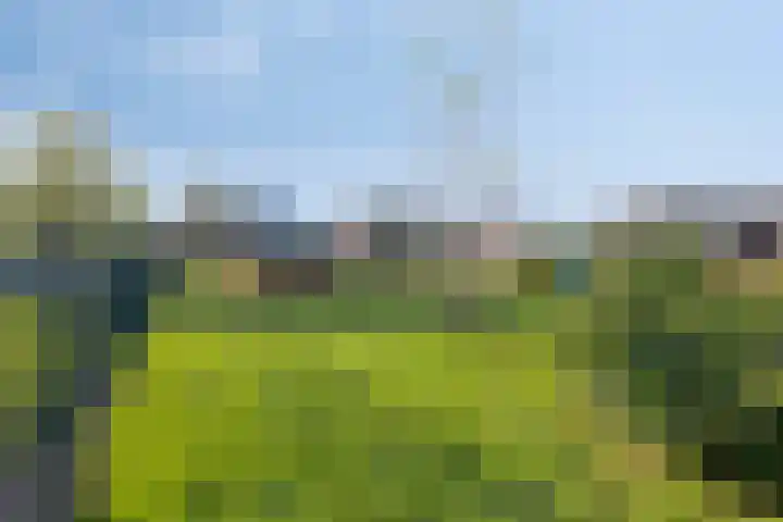 Singel 11 Westdorpe thumbnail 26