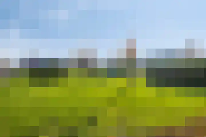 Singel 11 Westdorpe thumbnail 27