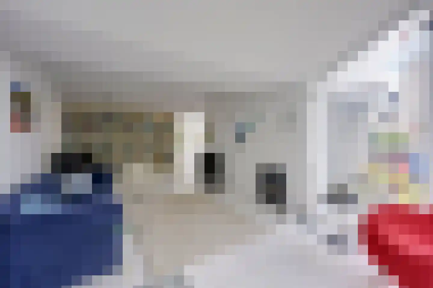Singel 111 Odijk thumbnail 10