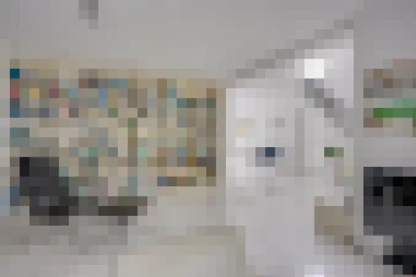 Singel 111 Odijk thumbnail 11