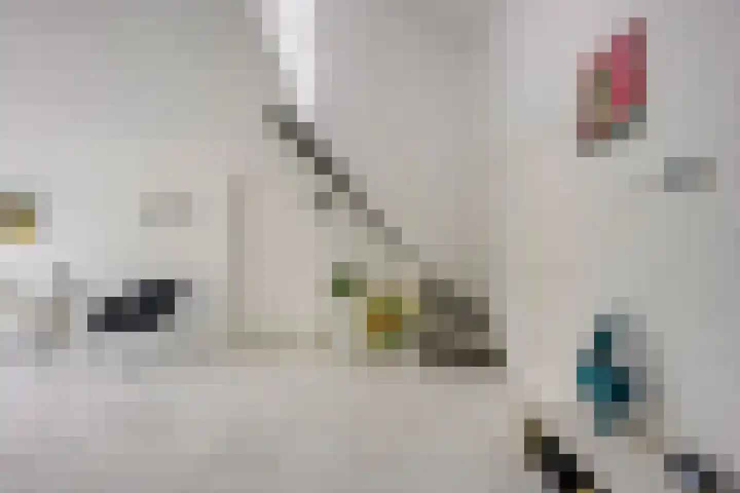 Singel 111 Odijk thumbnail 12