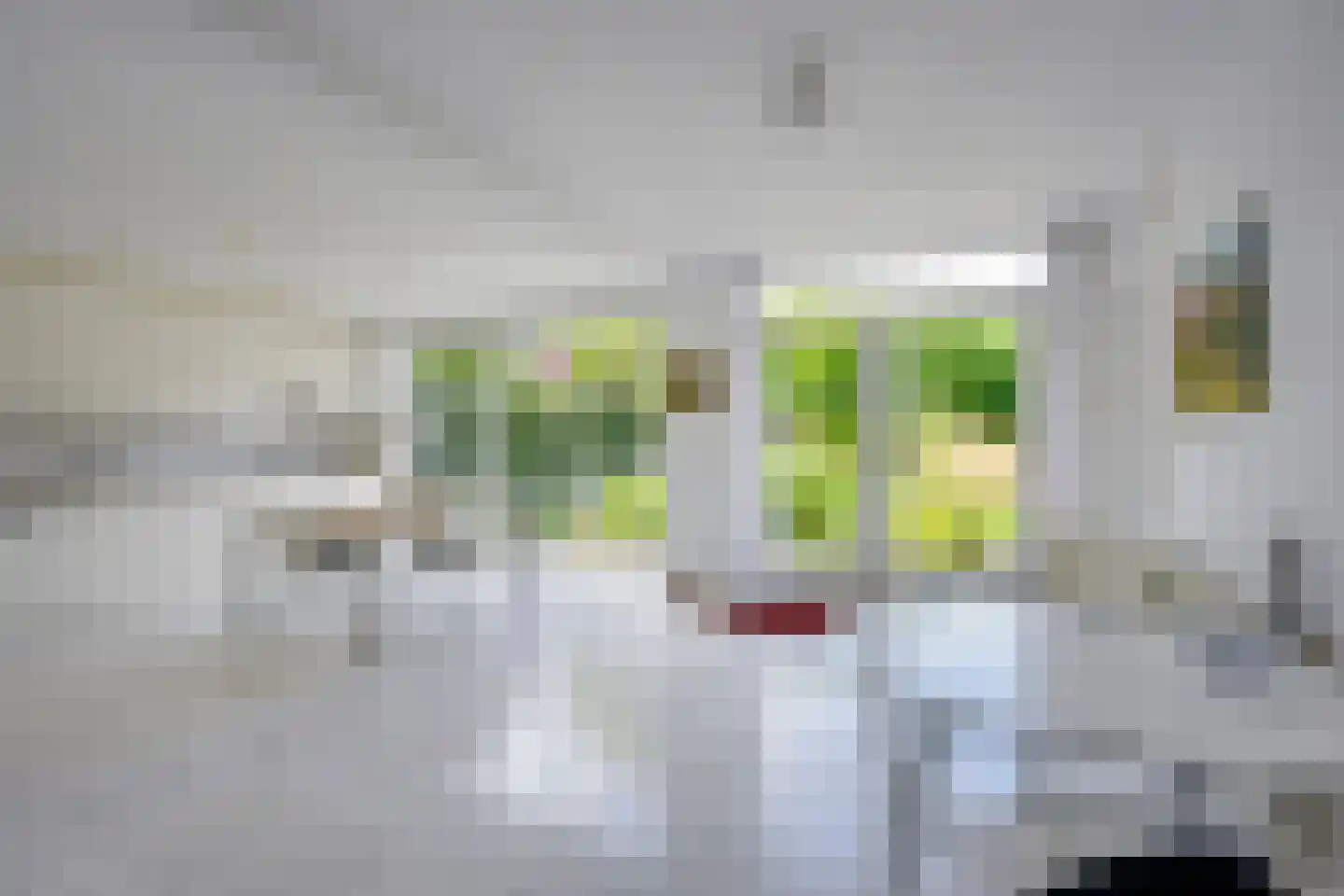 Singel 111 Odijk thumbnail 13