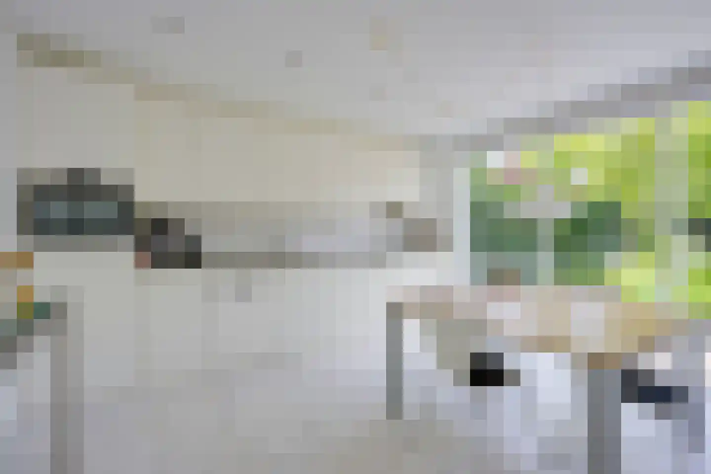 Singel 111 Odijk thumbnail 15