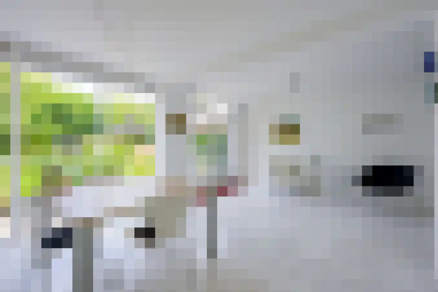 Singel 111 Odijk thumbnail 16