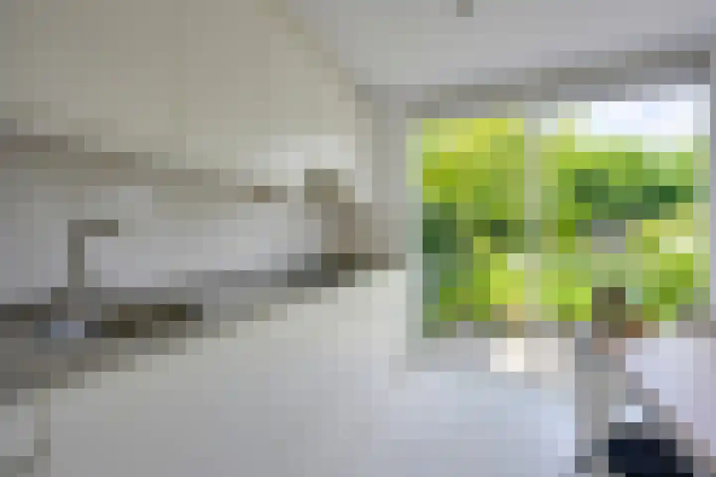Singel 111 Odijk thumbnail 17