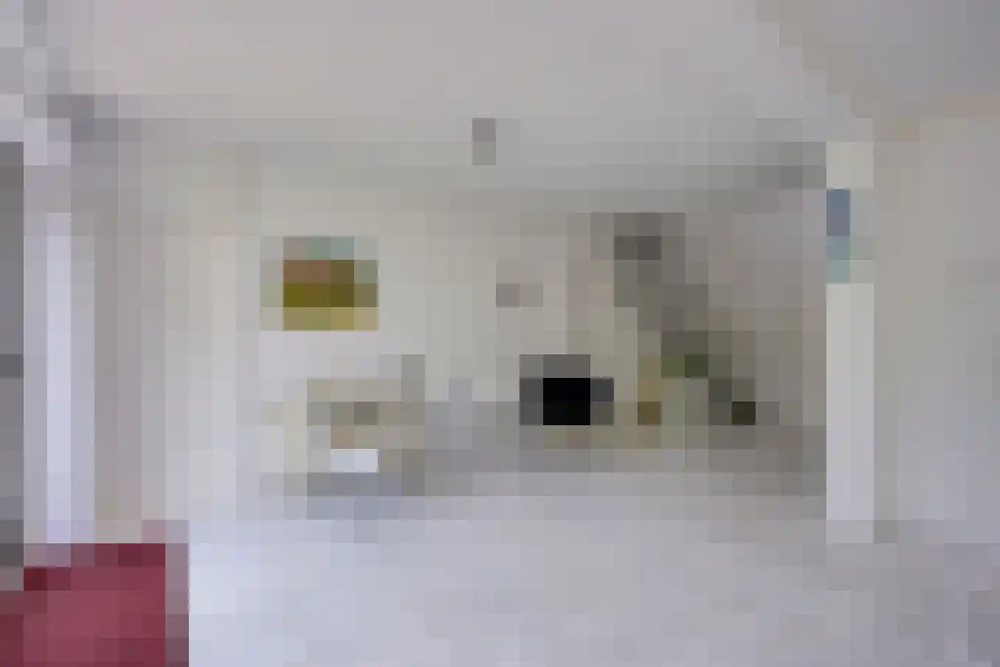 Singel 111 Odijk thumbnail 18