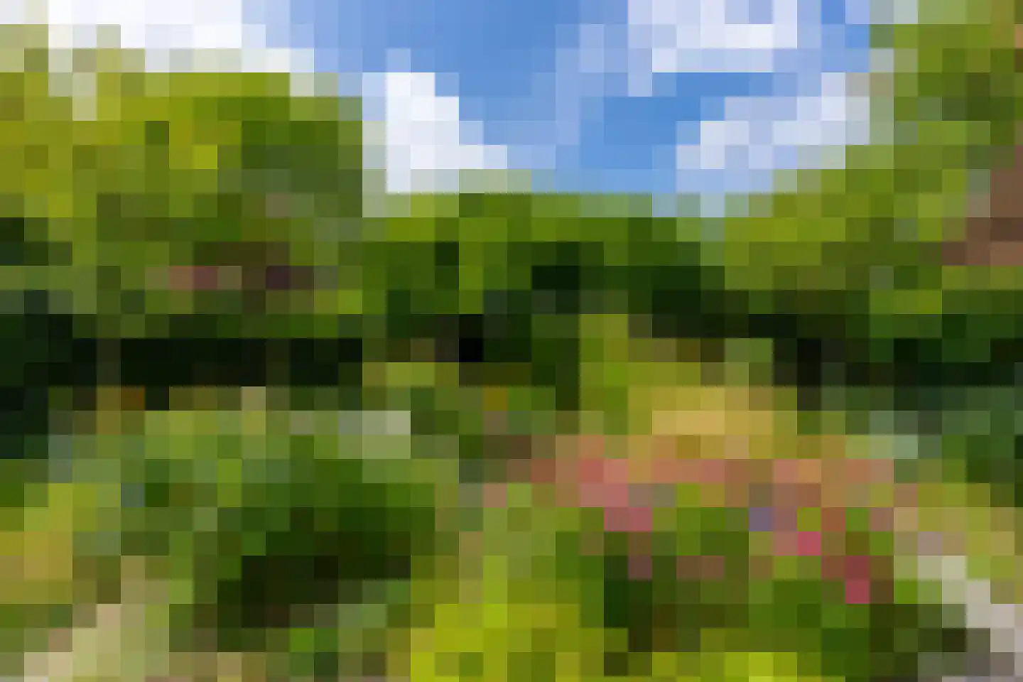 Singel 111 Odijk thumbnail 20