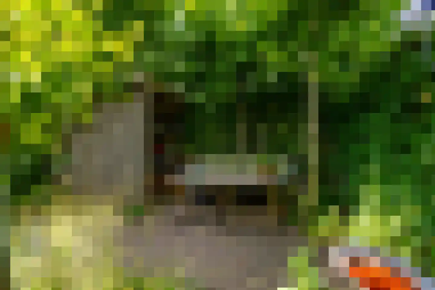 Singel 111 Odijk thumbnail 24