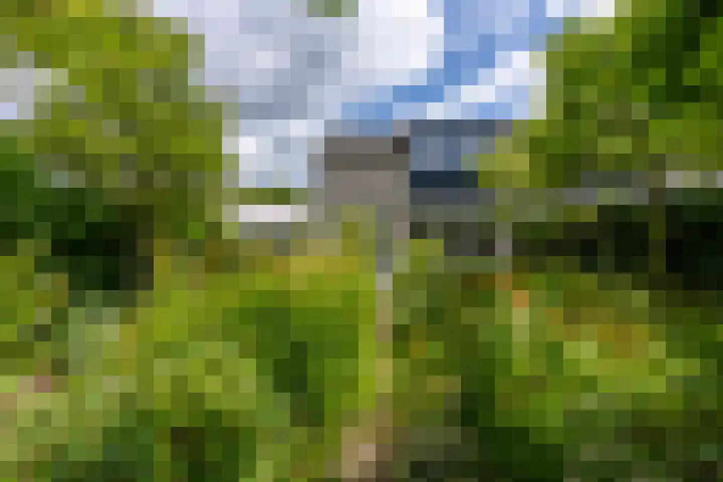 Singel 111 Odijk thumbnail 25
