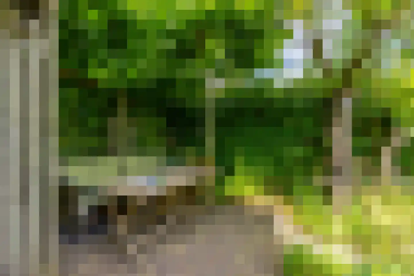 Singel 111 Odijk thumbnail 26