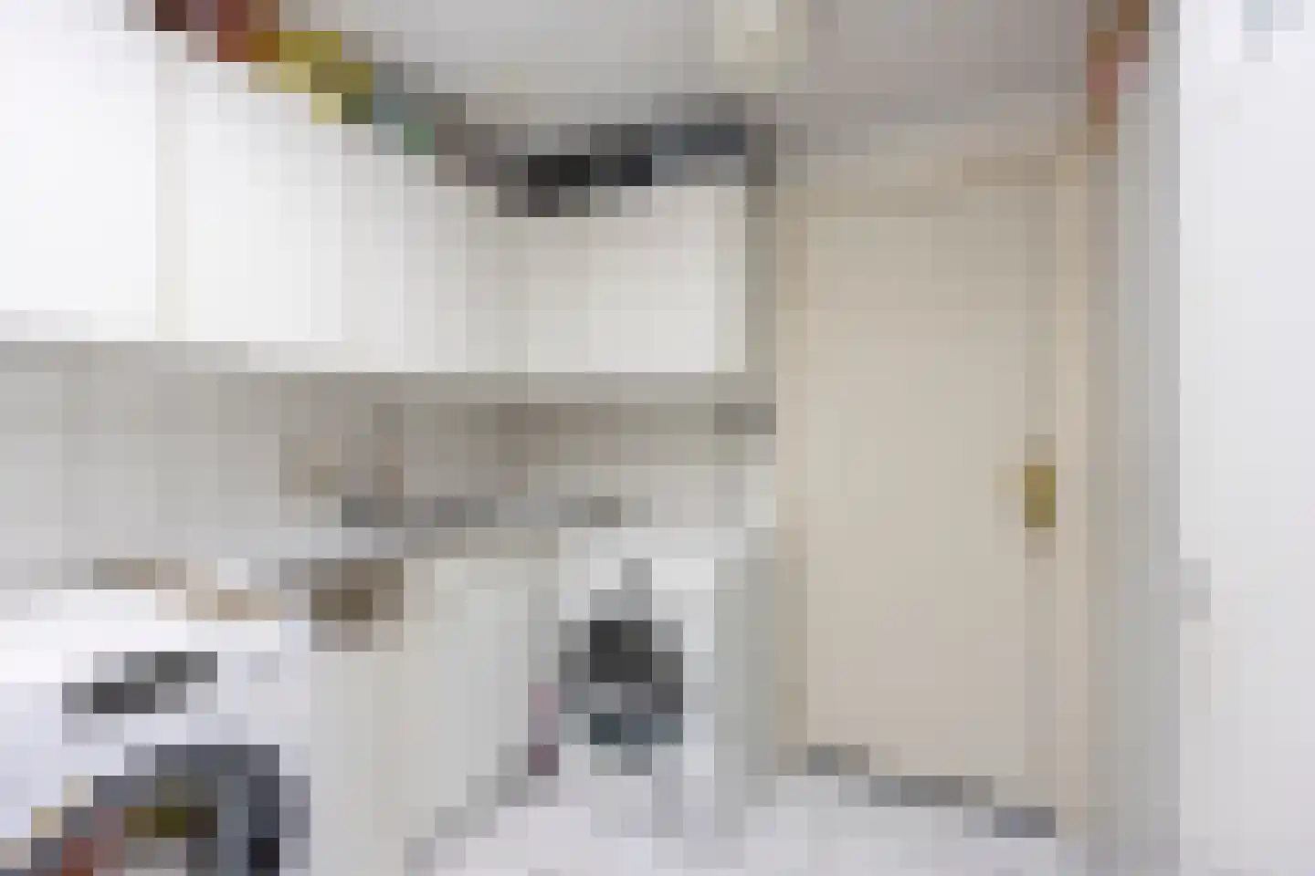 Singel 111 Odijk thumbnail 31