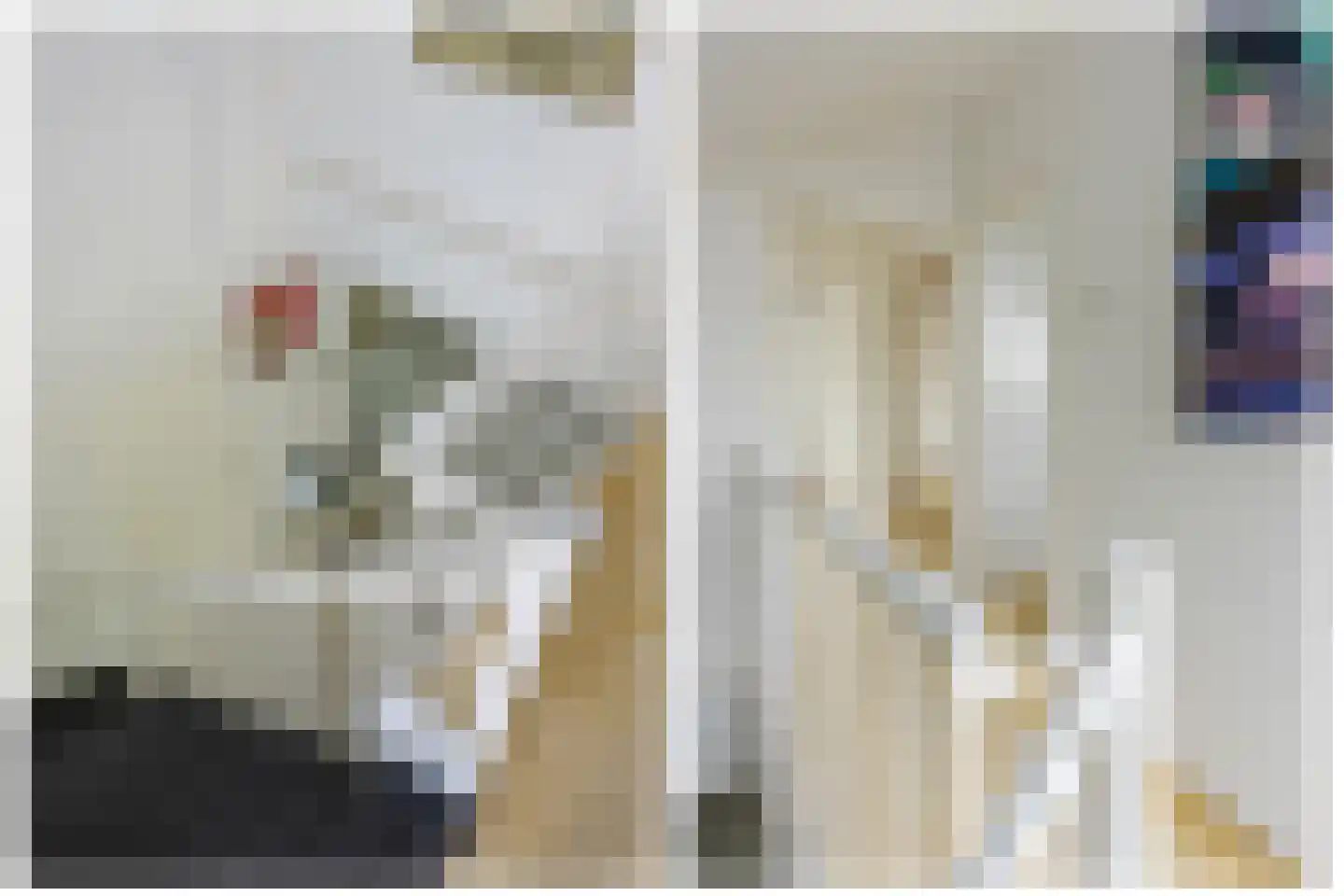 Singel 111 Odijk thumbnail 32
