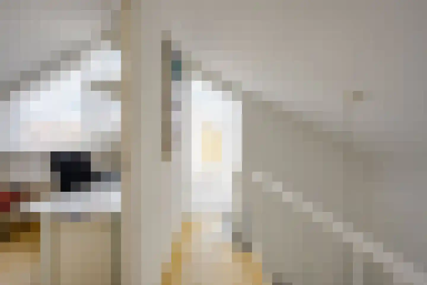 Singel 111 Odijk thumbnail 33