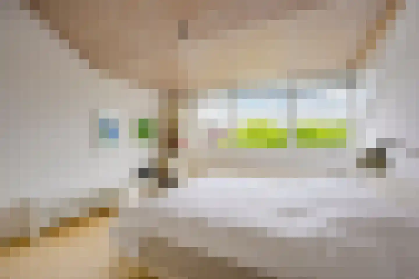 Singel 111 Odijk thumbnail 37