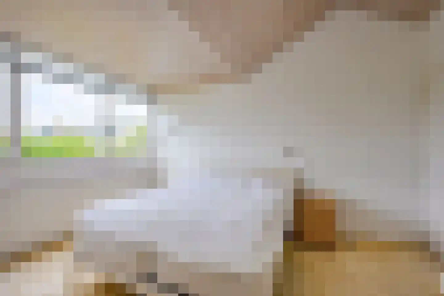 Singel 111 Odijk thumbnail 38