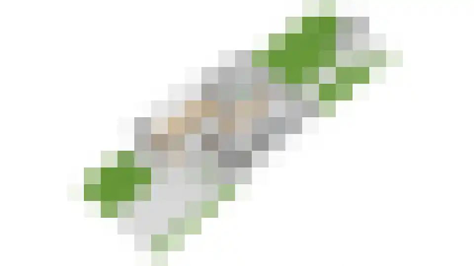 Singel 111 Odijk thumbnail 50