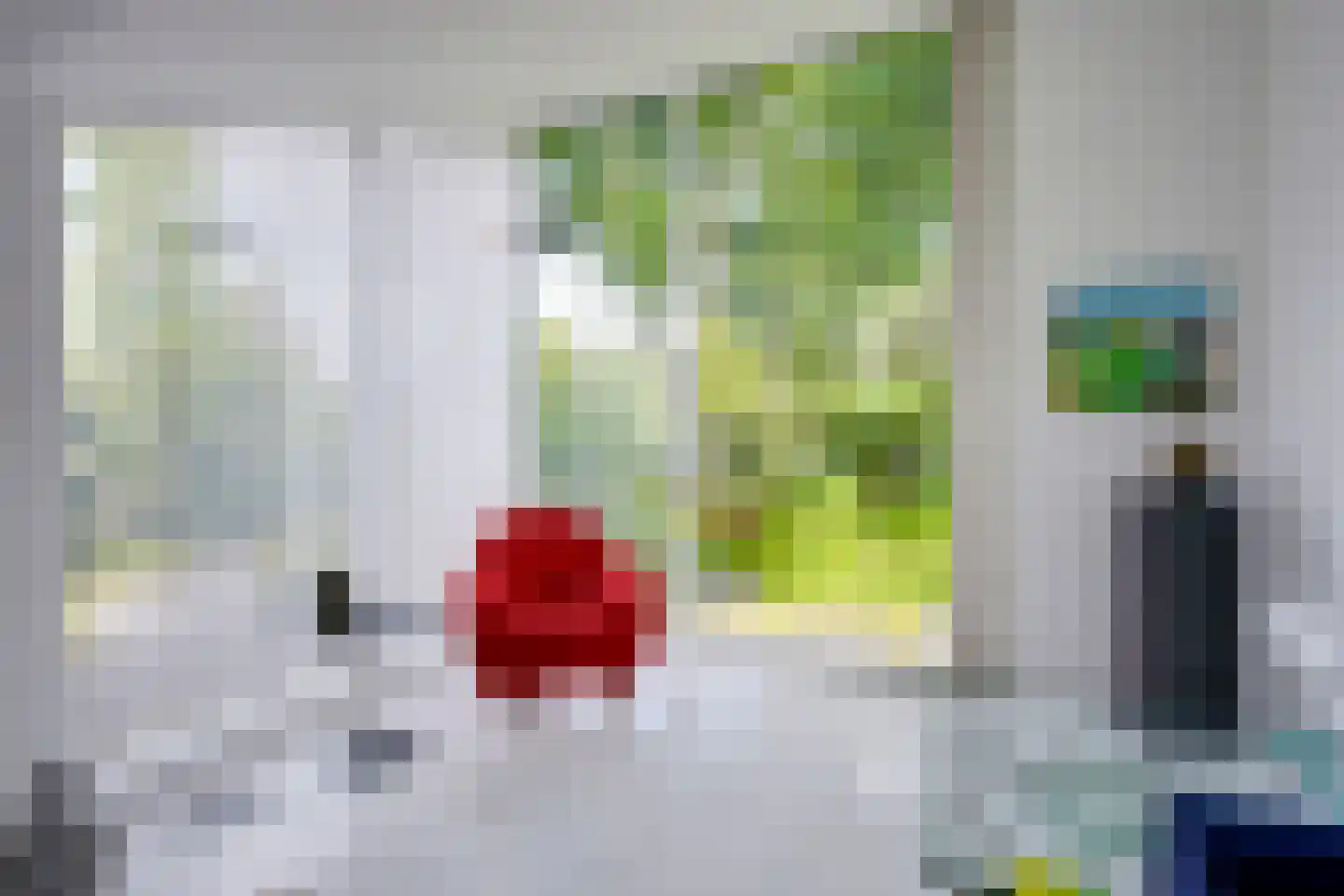 Singel 111 Odijk thumbnail 8