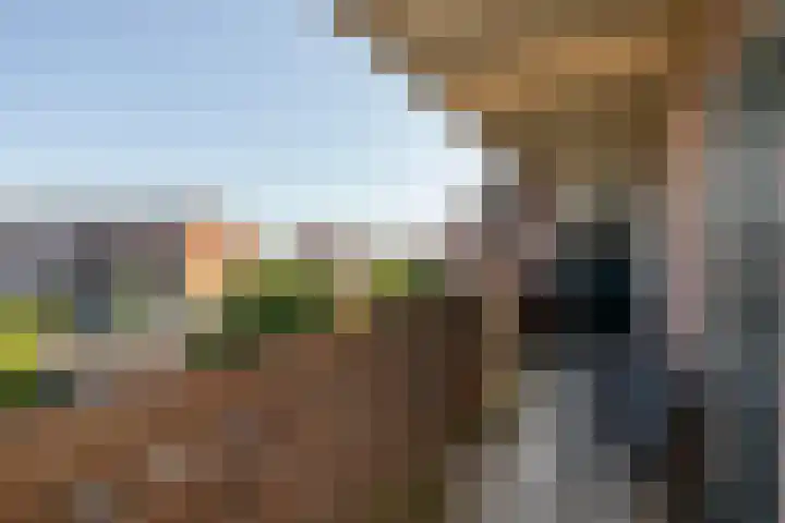 Singel 113 Vlissingen thumbnail 14
