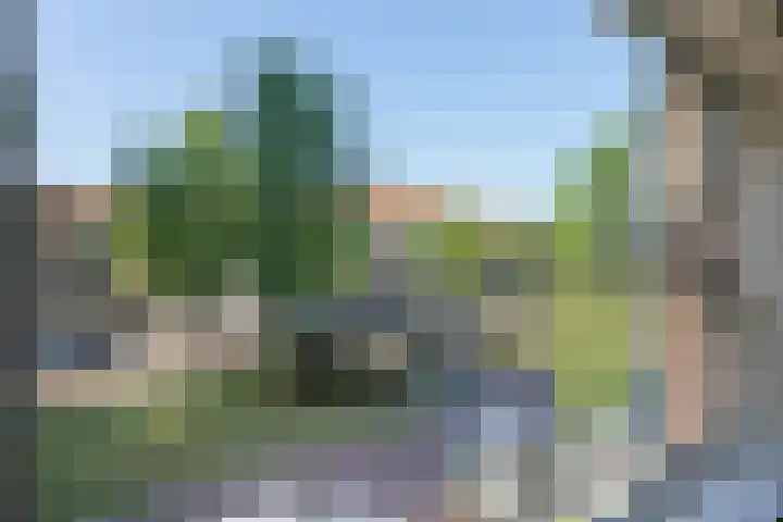 Singel 113 Vlissingen thumbnail 4