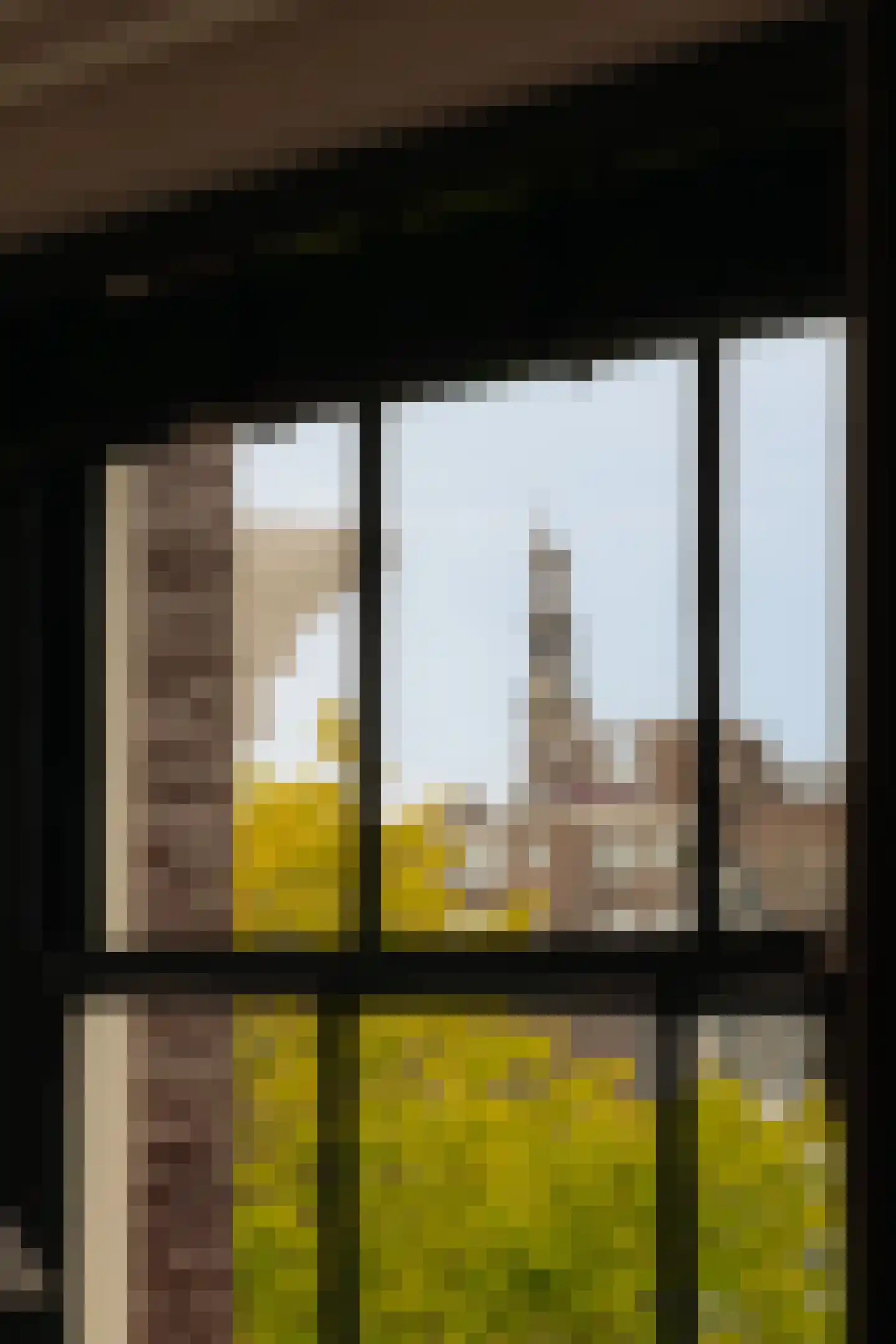 Singel 115 A Amsterdam thumbnail 11