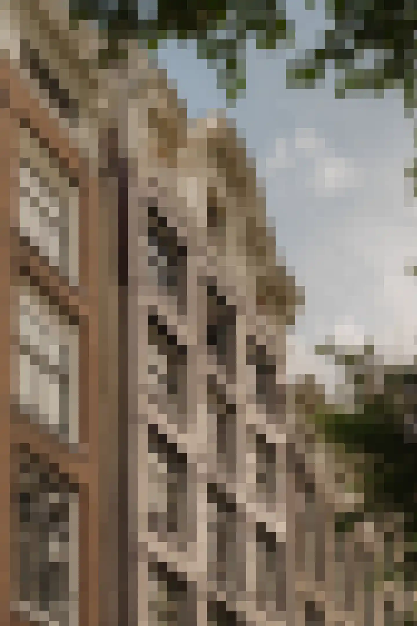 Singel 115 A Amsterdam thumbnail 21