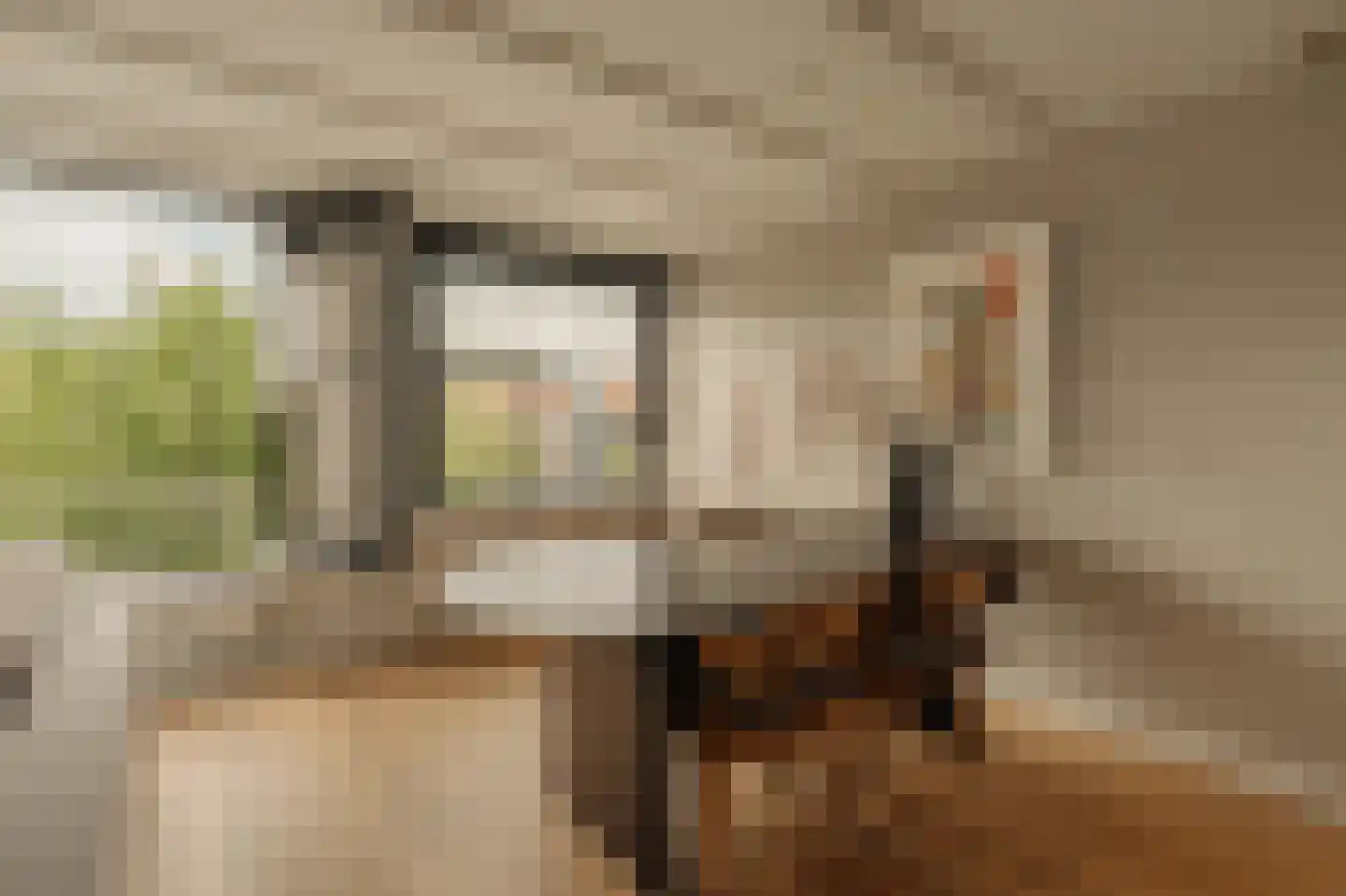 Singel 115 A Amsterdam thumbnail 9