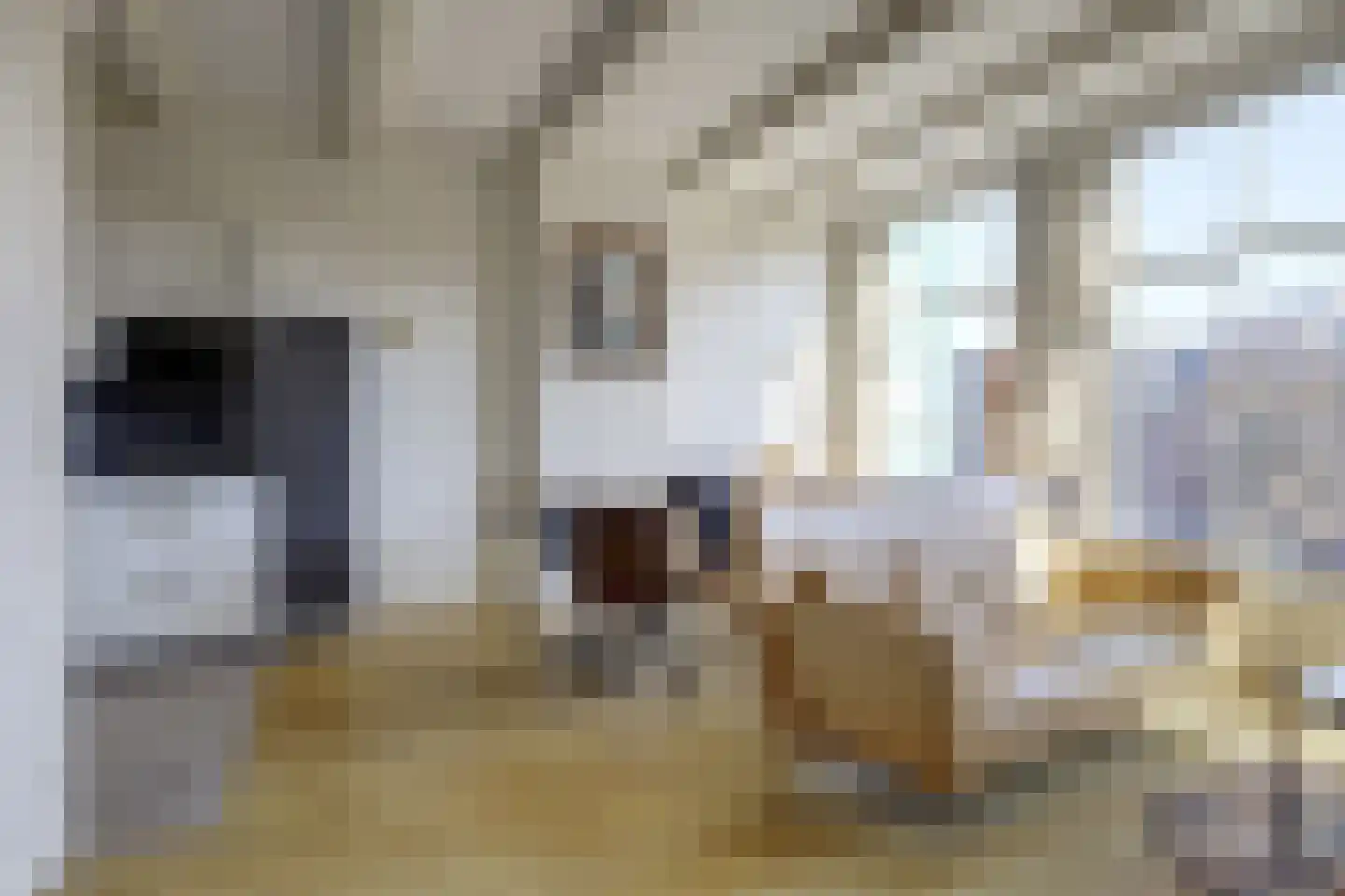 Singel 118 E Amsterdam thumbnail 13