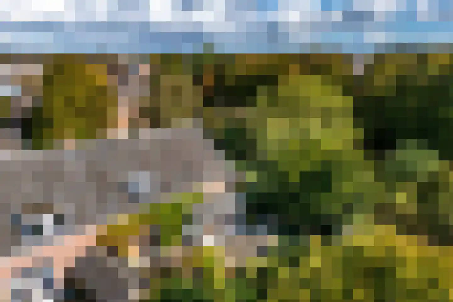 Singel 12 Wijk bij Duurstede thumbnail 100