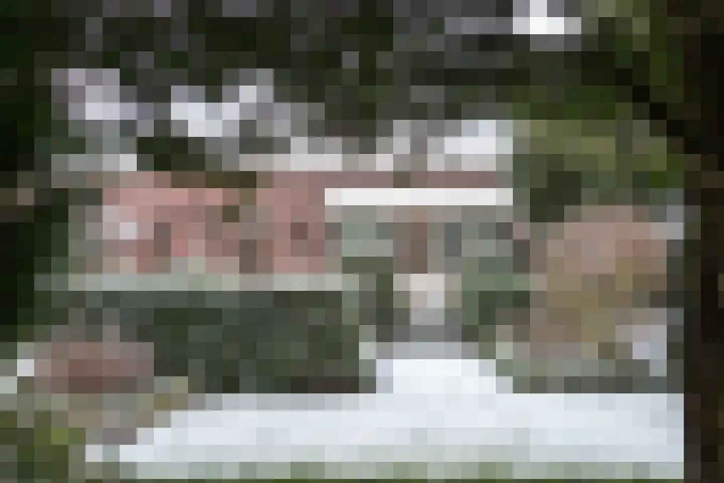 Singel 12 Wijk bij Duurstede thumbnail 102