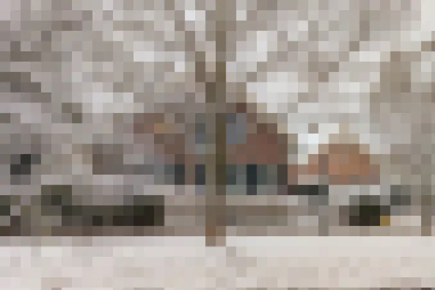 Singel 12 Wijk bij Duurstede thumbnail 103