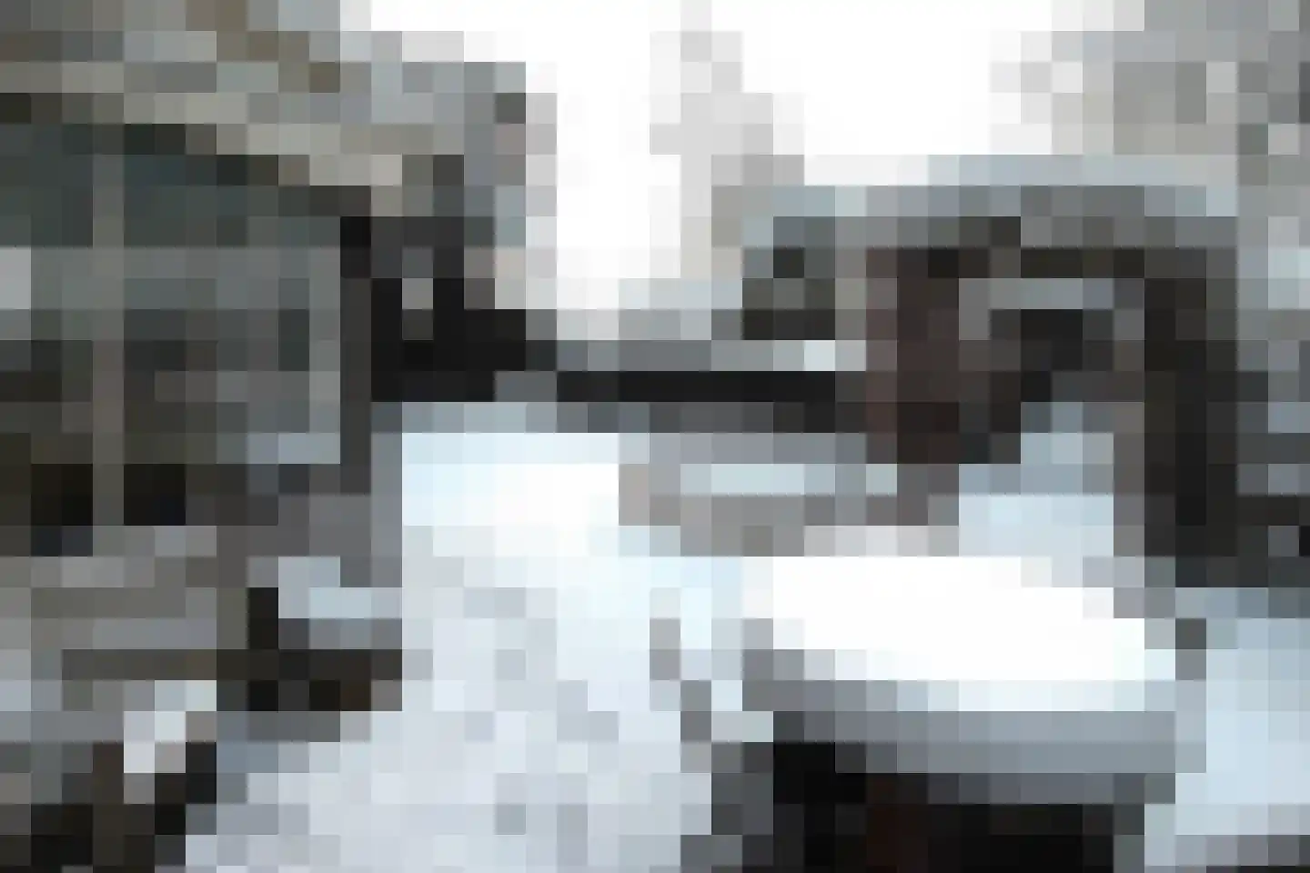 Singel 12 Wijk bij Duurstede thumbnail 104