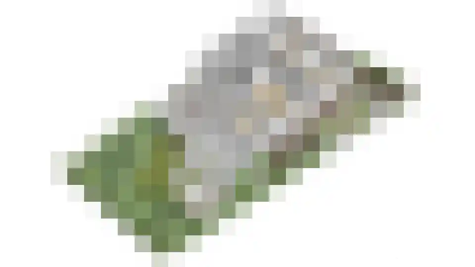 Singel 12 Wijk bij Duurstede thumbnail 106