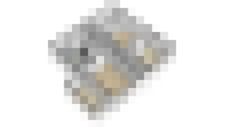 Singel 12 Wijk bij Duurstede thumbnail 108