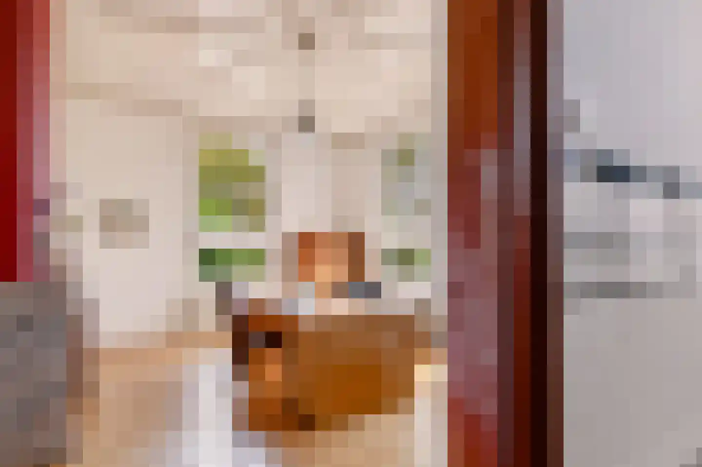 Singel 12 Wijk bij Duurstede thumbnail 14