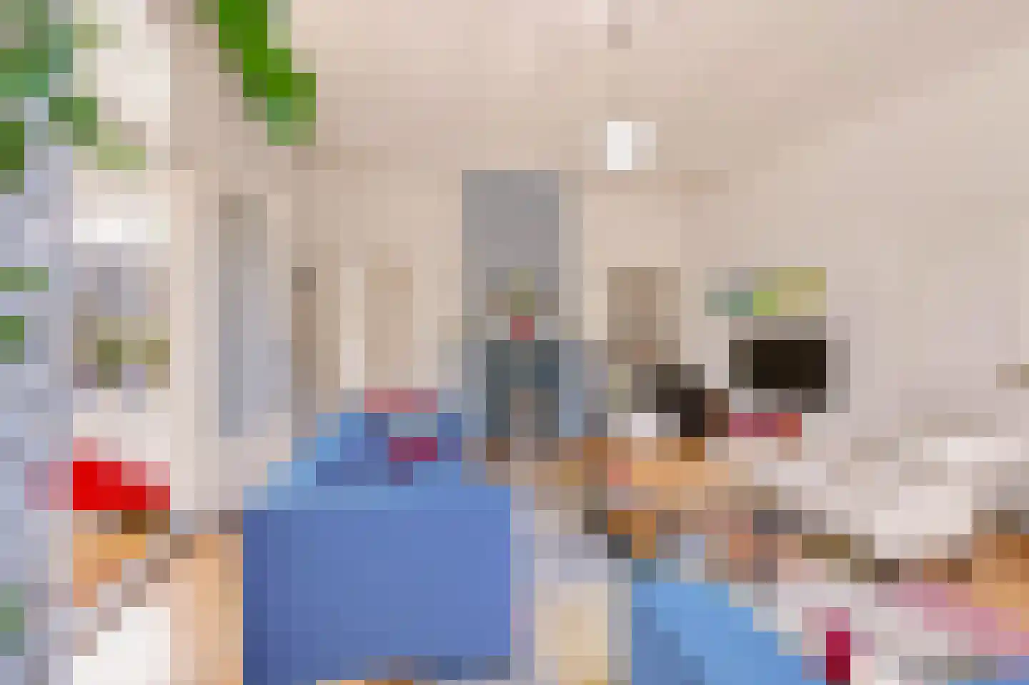 Singel 12 Wijk bij Duurstede thumbnail 24