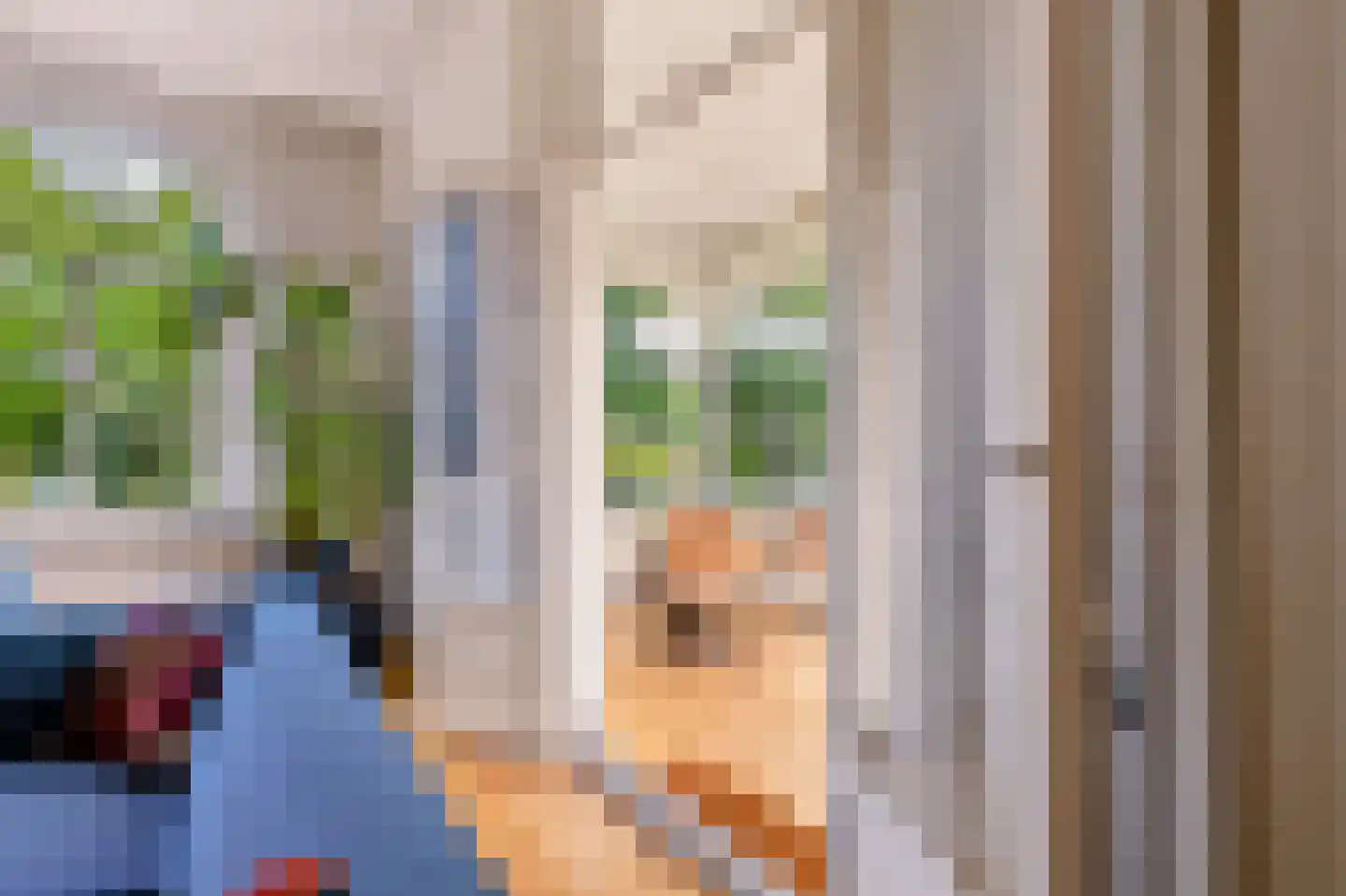 Singel 12 Wijk bij Duurstede thumbnail 26