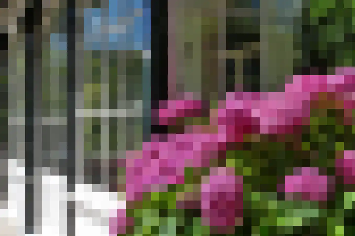 Singel 12 Wijk bij Duurstede thumbnail 32