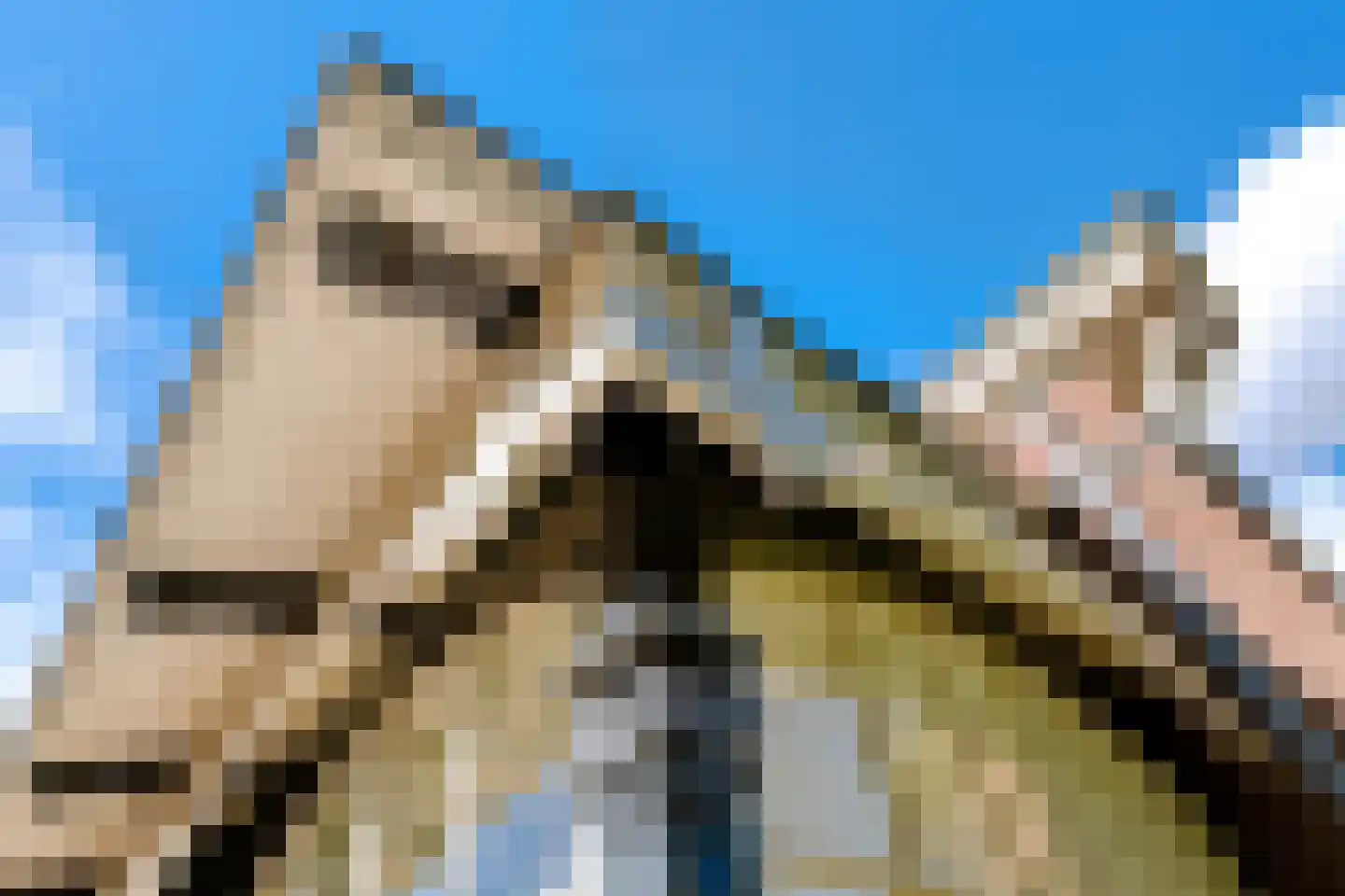 Singel 12 Wijk bij Duurstede thumbnail 34