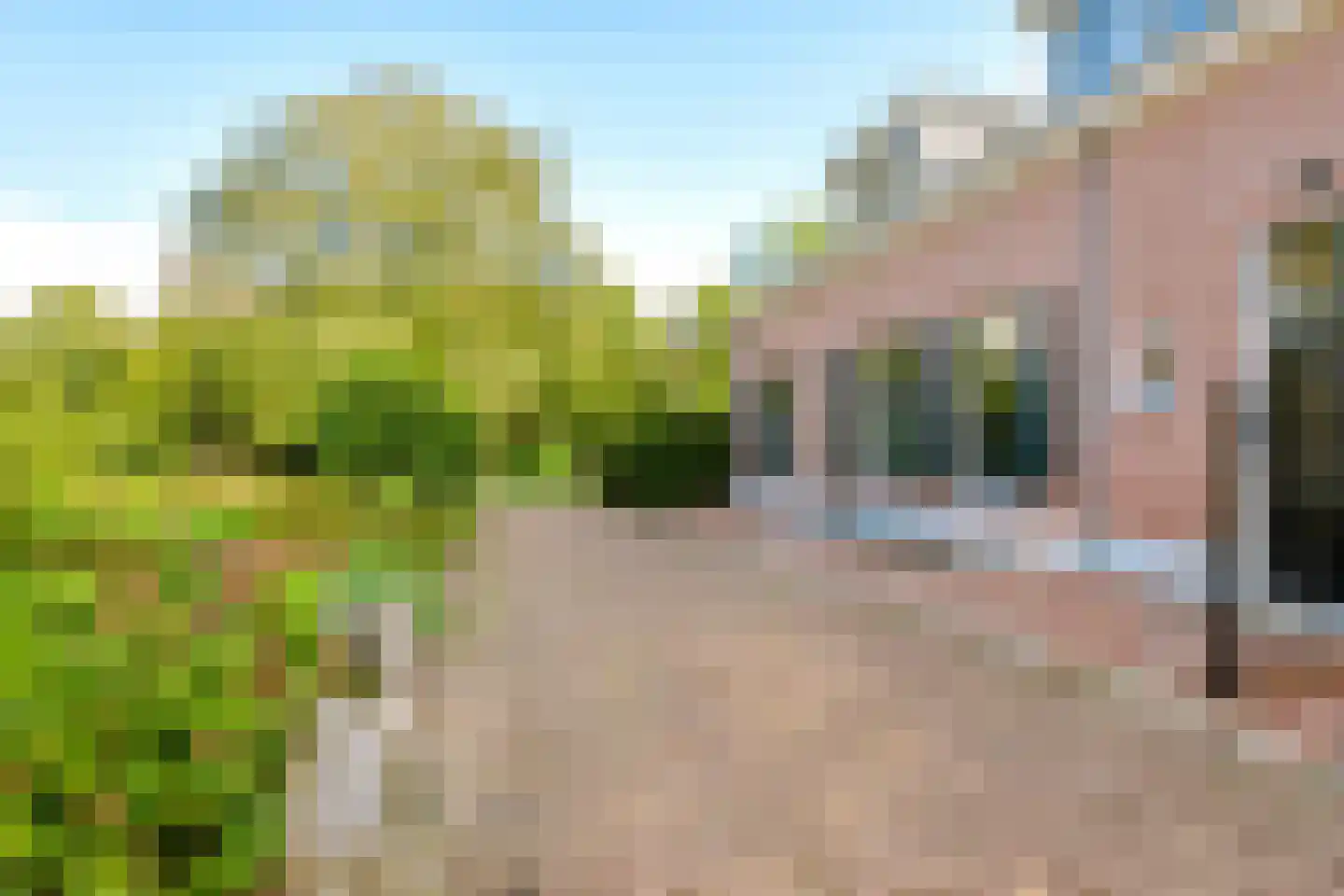 Singel 12 Wijk bij Duurstede thumbnail 38