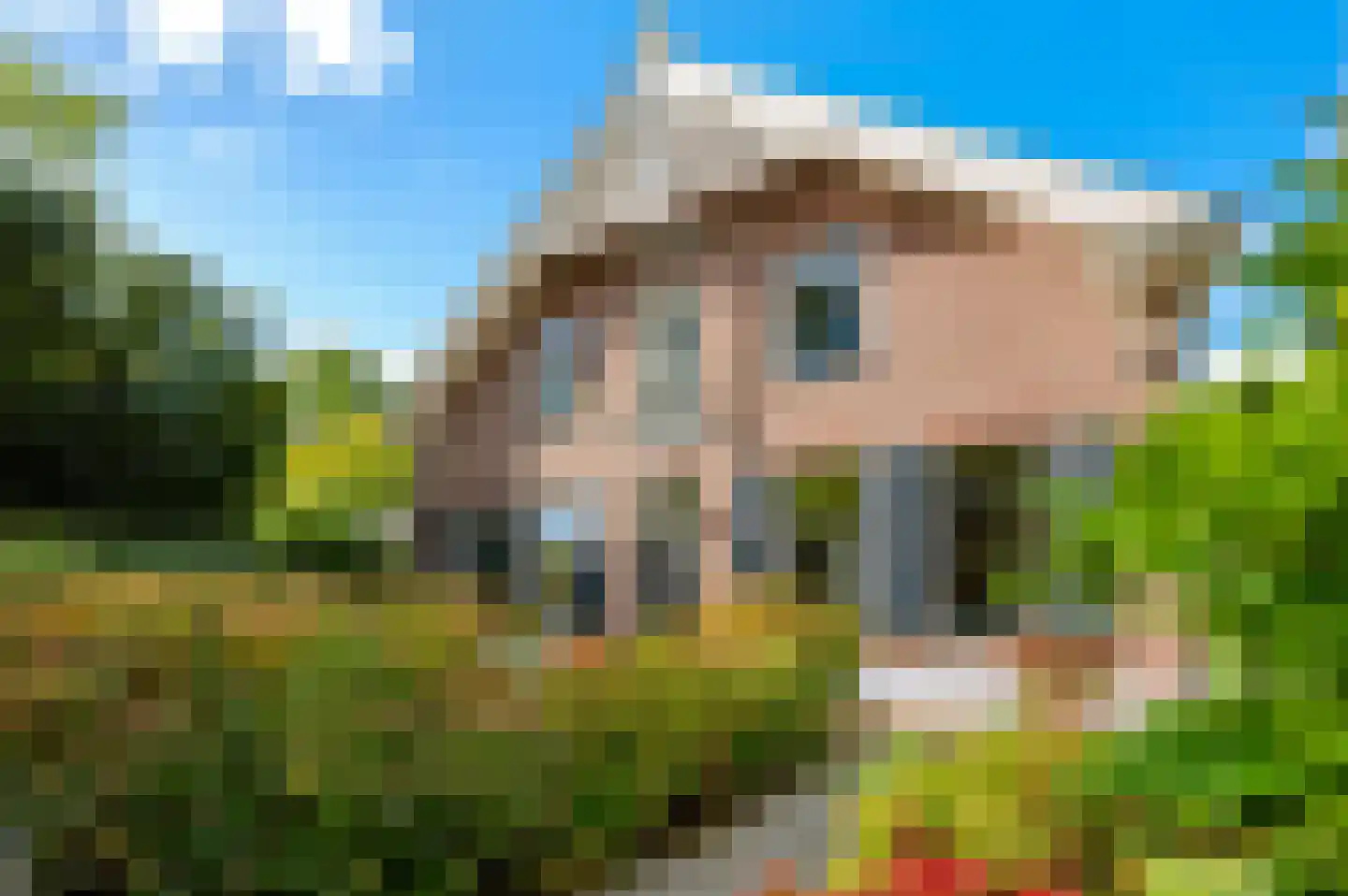 Singel 12 Wijk bij Duurstede thumbnail 4